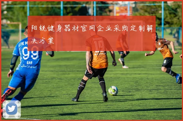 阳锐健身器材官网企业采购定制解决方案