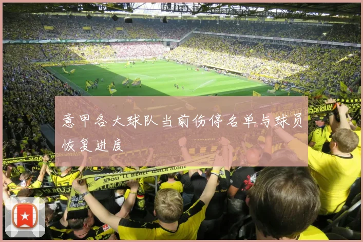 意甲各大球队当前伤停名单与球员恢复进度