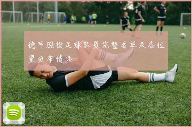 德甲现役足球队员完整名单及各位置分布情况