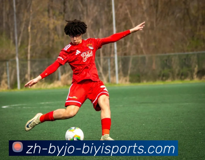 App Interface Preview