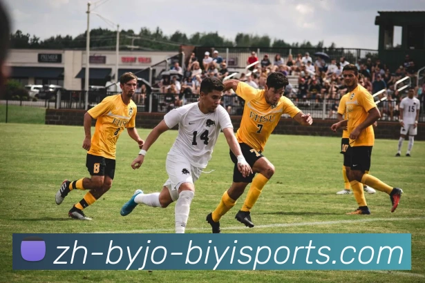 必一体育官方网站APP 封面图